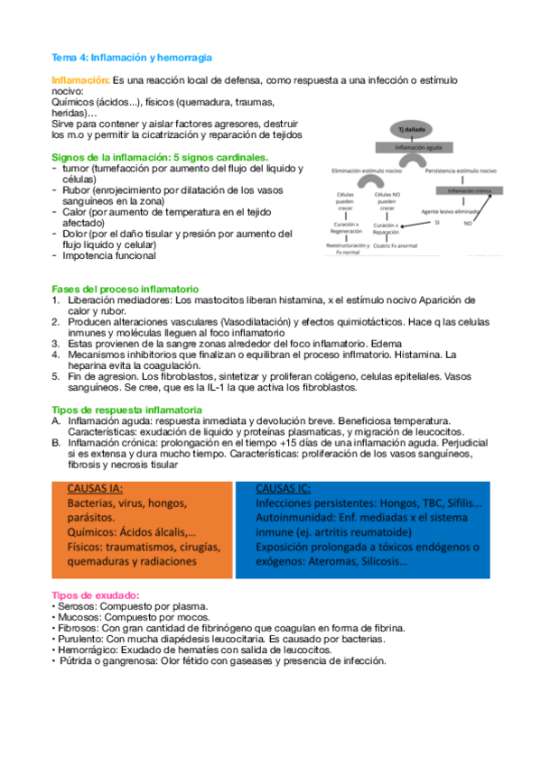 Miniatura del documento Tema-4-Quiro.pdf