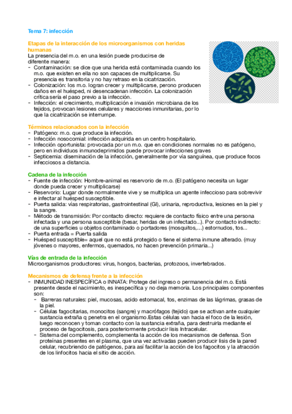 Miniatura del documento Tema-7-Quiro.pdf