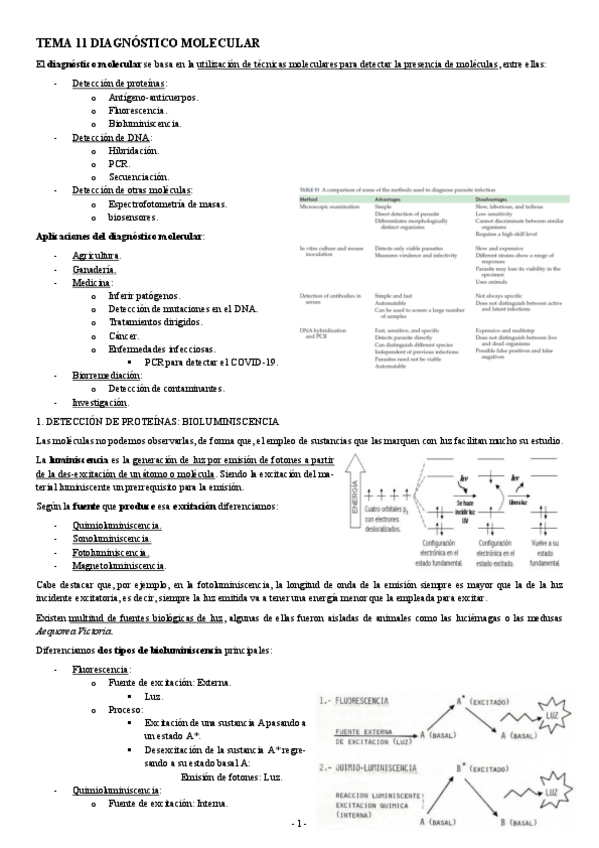 Miniatura del documento INGENIERIA-GENETICA-TEMA-11-DIAGNOSTICO-MOLECULAR.pdf