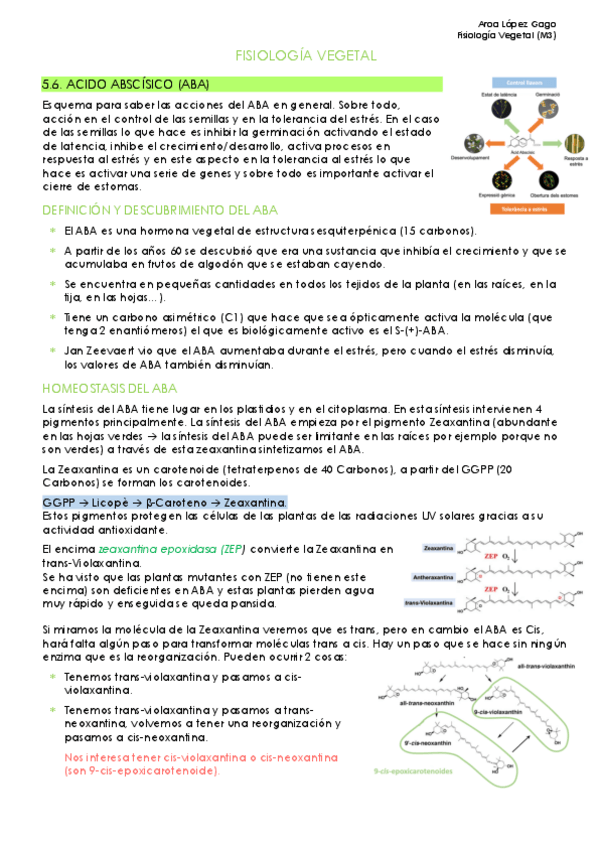 Miniatura del documento TEMA-5.6 (Grupo M3).pdf