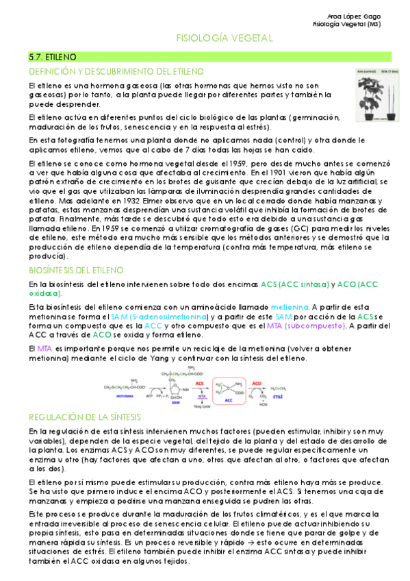 Miniatura del documento TEMA-5.7 (Grupo M3).pdf