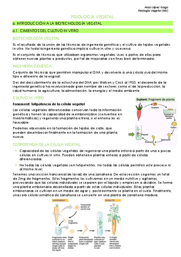Miniatura del documento TEMA-6.1 (Grupo M3).pdf