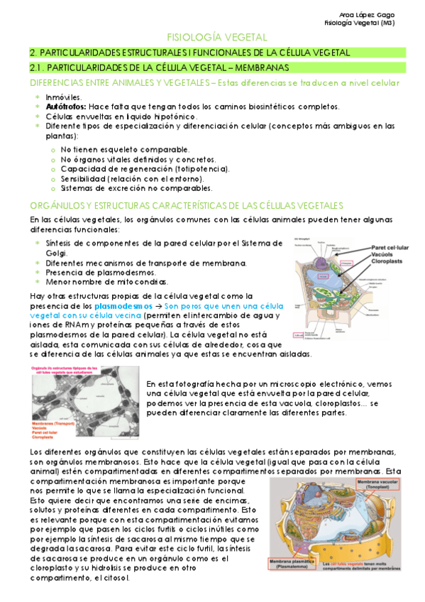 Miniatura del documento Parcial-2-3.2-Grupo-M3.pdf