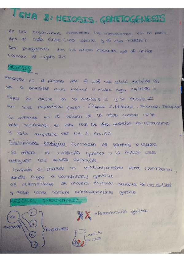 Miniatura del documento Biologia-Tema-8-meiosis-I-solo-profase-I.pdf