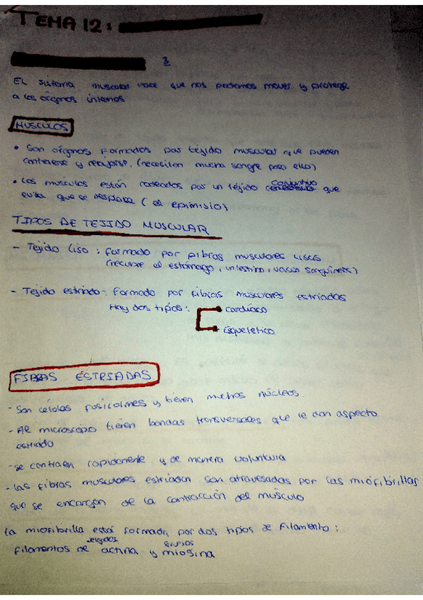 Miniatura del documento Biologia-tema-12-El-tejido-muscular.pdf