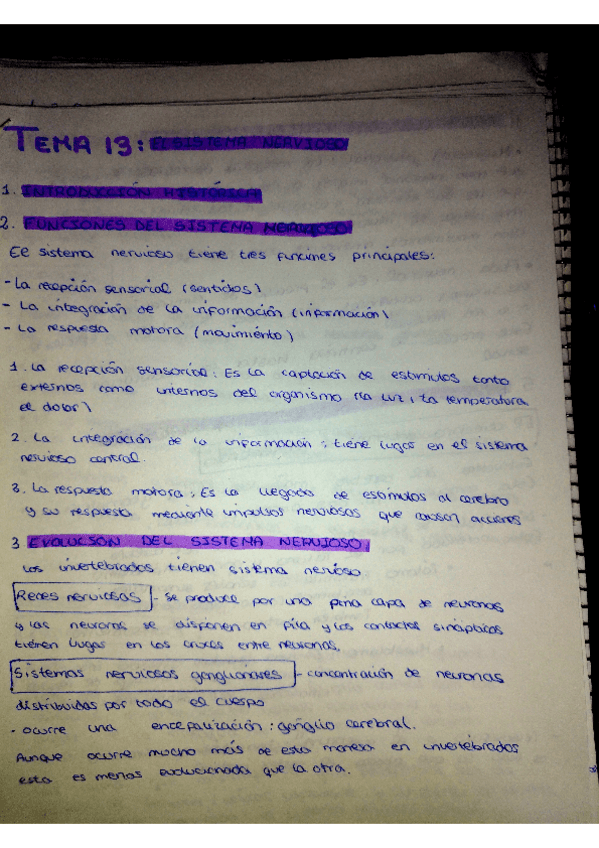 Miniatura del documento Biologia-tema-13-El-sistema-nervioso.pdf