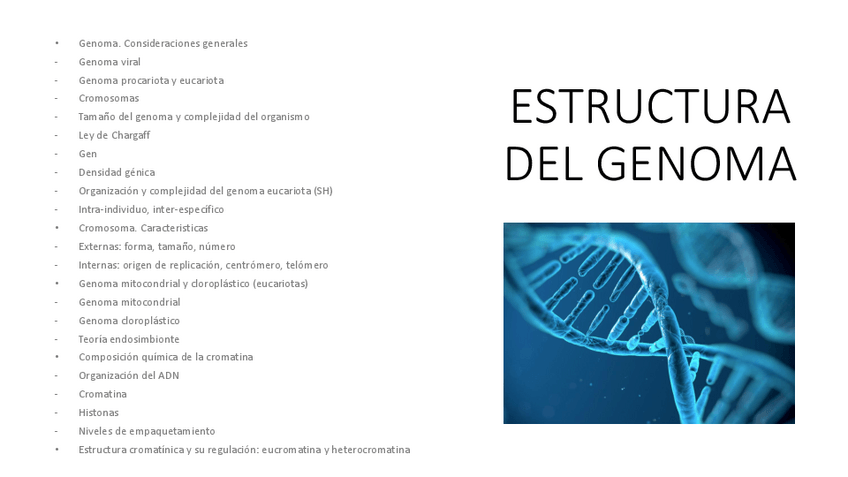 Miniatura del documento 3.-Estructura-del-genoma.pdf