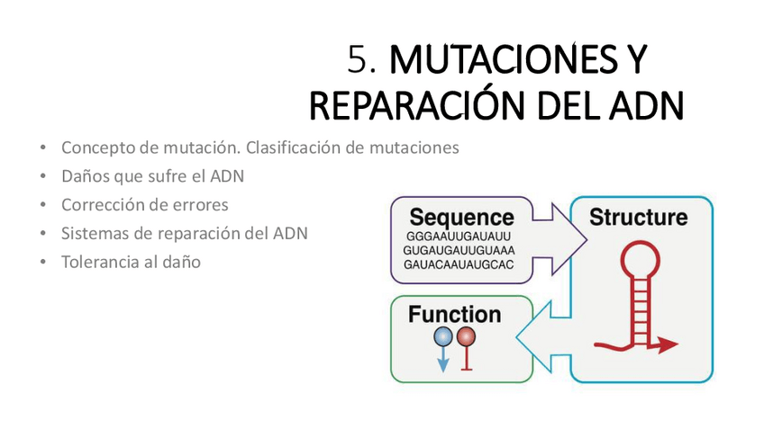 Miniatura del documento 5.-Mutaciones-y-reparacion-del-ADN.pdf