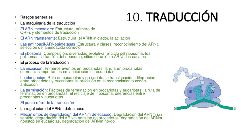 Miniatura del documento 10.-Traduccion.pdf