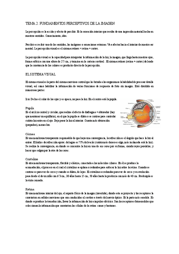 Miniatura del documento TEMA-2-FUNDAMENTOS-PERCEPTIVOS-DE-LA-IMAGEN.pdf