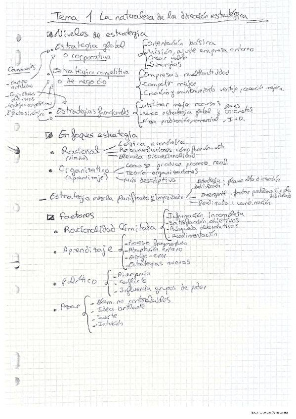 Miniatura del documento RESUMENES-DIRECCION-ESTRATEGICA.pdf