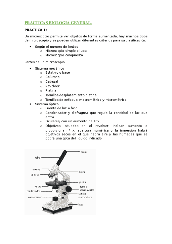 Miniatura del documento APUNTES-PRACTICAS-BIOLOGIA-GENERAL.docx