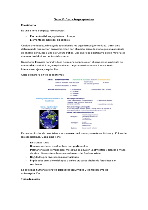 Miniatura del documento Tema-13.-Ciclos-biogeoquimicos.pdf