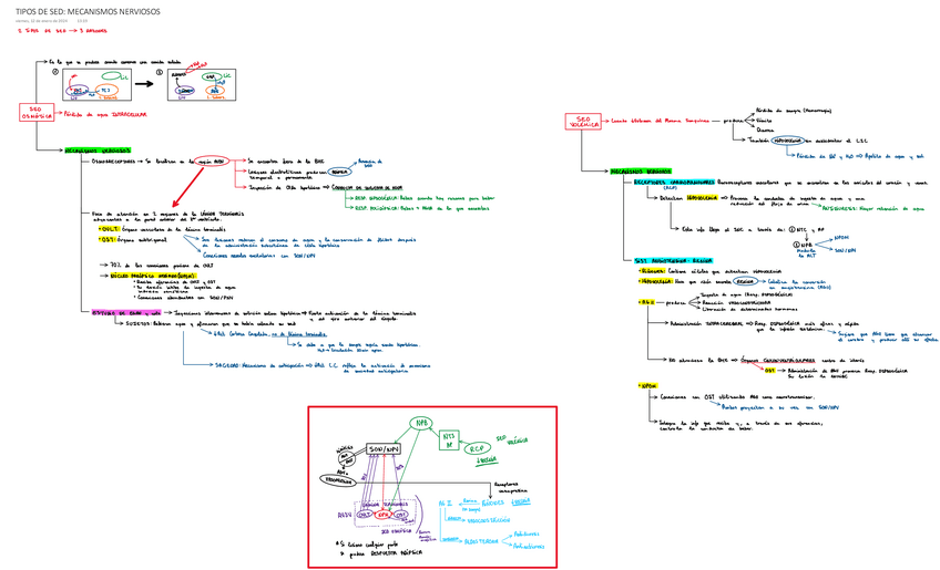 Miniatura del documento TIPOS-DE-SED-MECANISMOS-NERVIOSOS.pdf