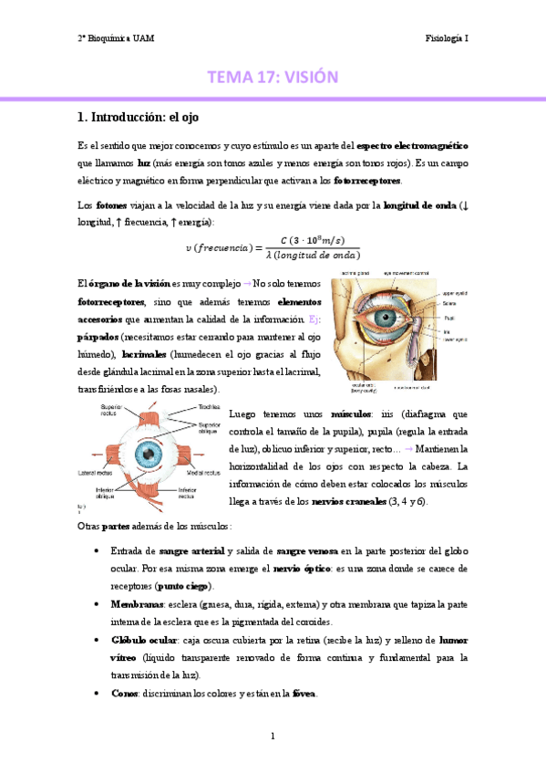 Miniatura del documento TEMA-17.-Vision..pdf