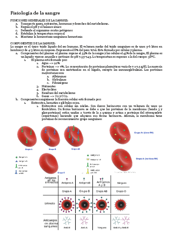 Miniatura del documento Fisiologia-T-5-fisiologia-de-la-sangre.pdf