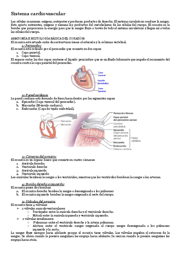 Miniatura del documento Fisiologia-T-6-Sistema-cardiovascular.pdf
