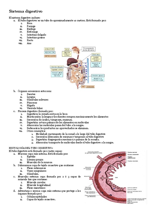 Miniatura del documento Fisiologia-T-8-Sistema-digestivo.pdf