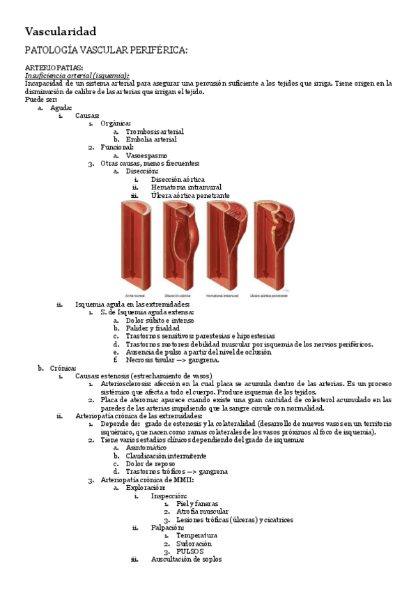 Miniatura del documento Patologia-general-t-vascularizacion-periferica.pdf