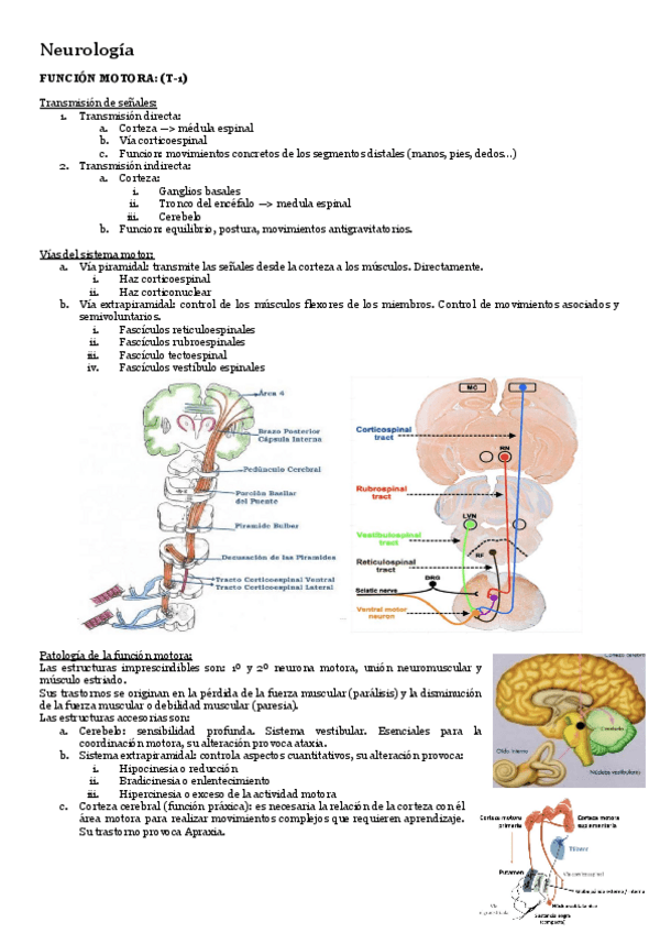 Miniatura del documento Patologia-General-T-Neurologia.pdf