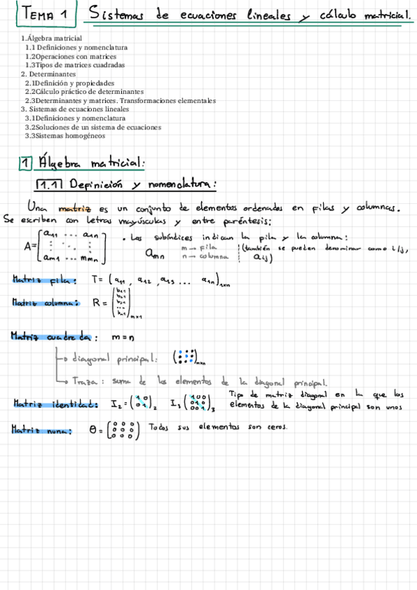 Miniatura del documento Tema-1-Matrices.pdf