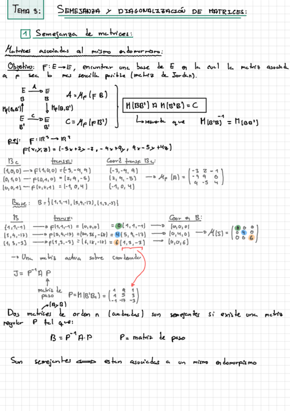 Miniatura del documento T3-Semejanza-Y-Diagonalizacion-De-Matrices.pdf