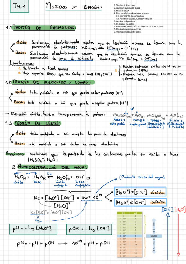 Miniatura del documento T5-Acidos-Y-Bases.pdf