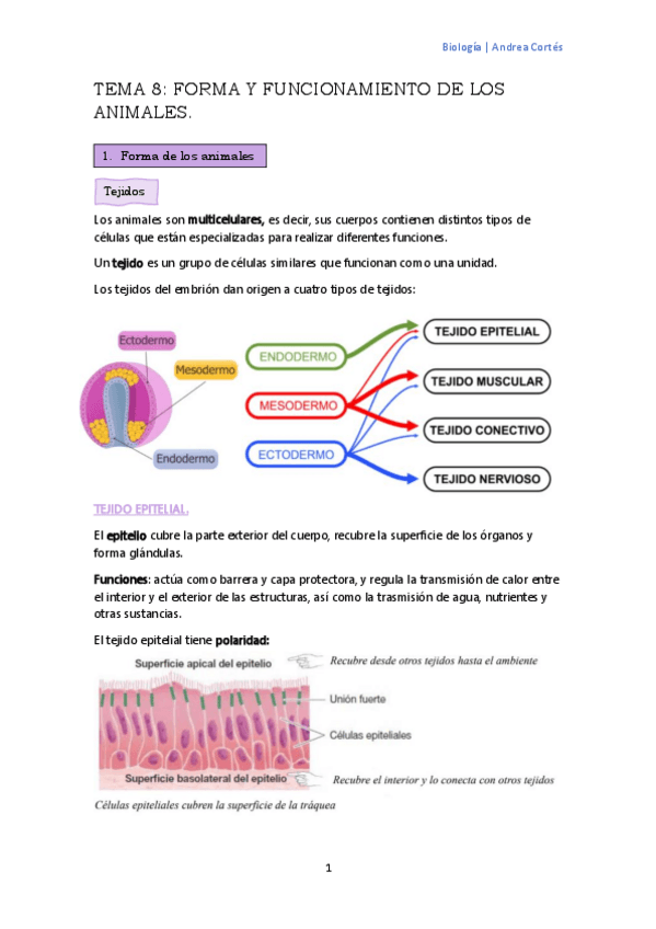 Miniatura del documento TEMA-8.pdf