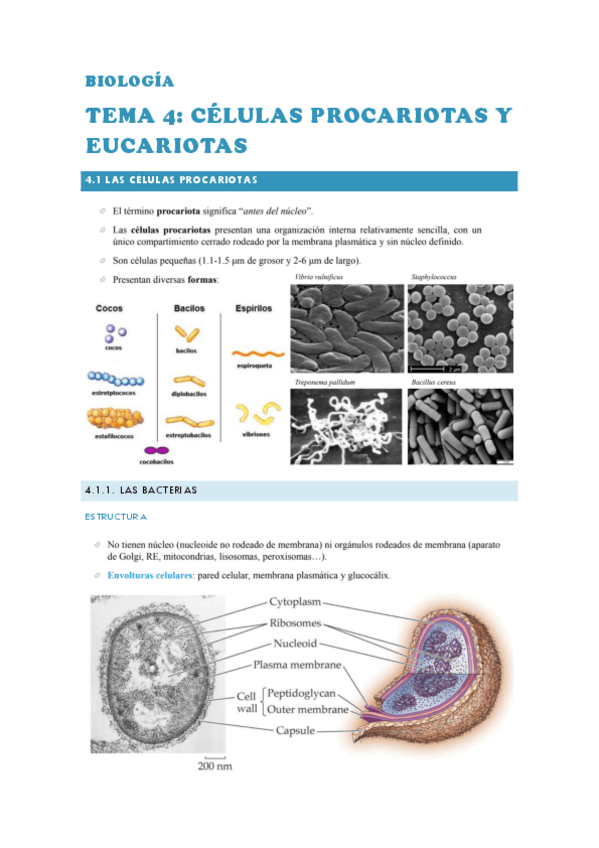 Miniatura del documento BIOLOGIA-TEMA-4.pdf