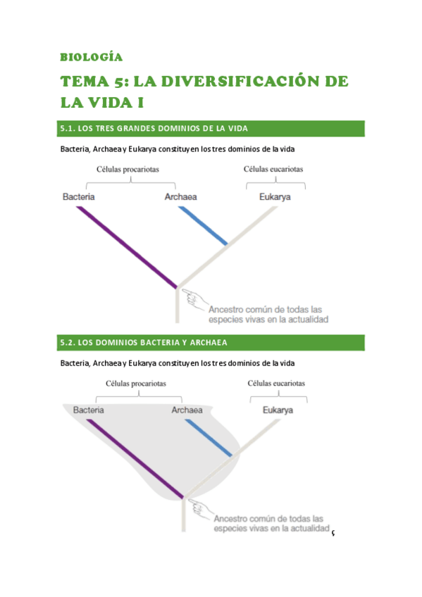 Miniatura del documento BIOLOGIA-TEMA-5.pdf