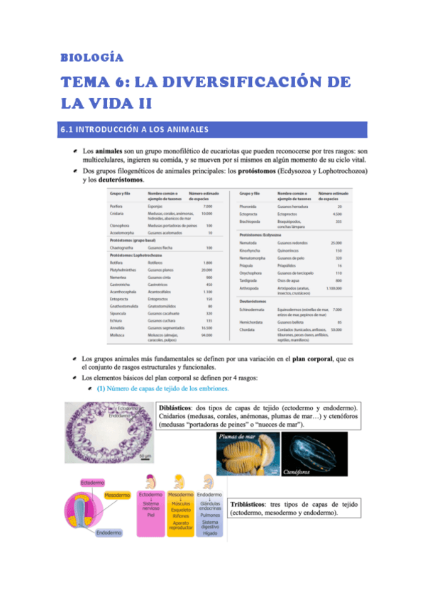 Miniatura del documento BIOLOGIA-TEMA-6.pdf