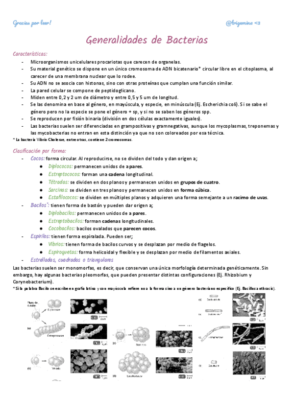 Miniatura del documento Generalidades.pdf
