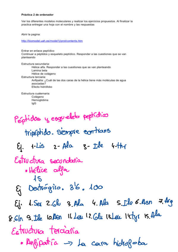 Miniatura del documento Practica-Ordenador-2.pdf