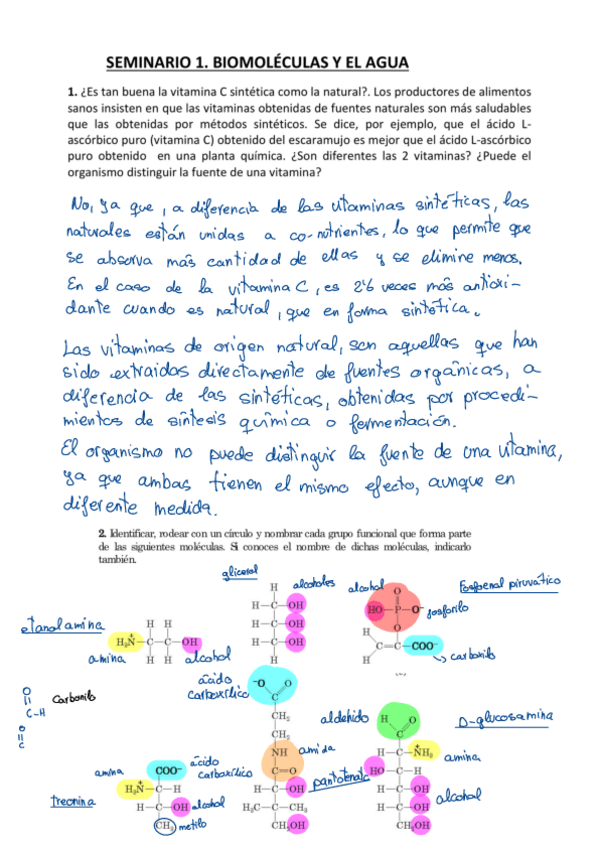 Miniatura del documento Seminario-1.pdf