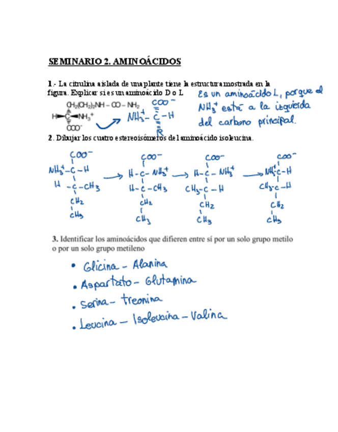 Miniatura del documento Seminario2Aminoacidos.pdf