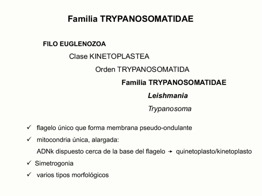 Miniatura del documento Tema-10-Leishmania.pdf
