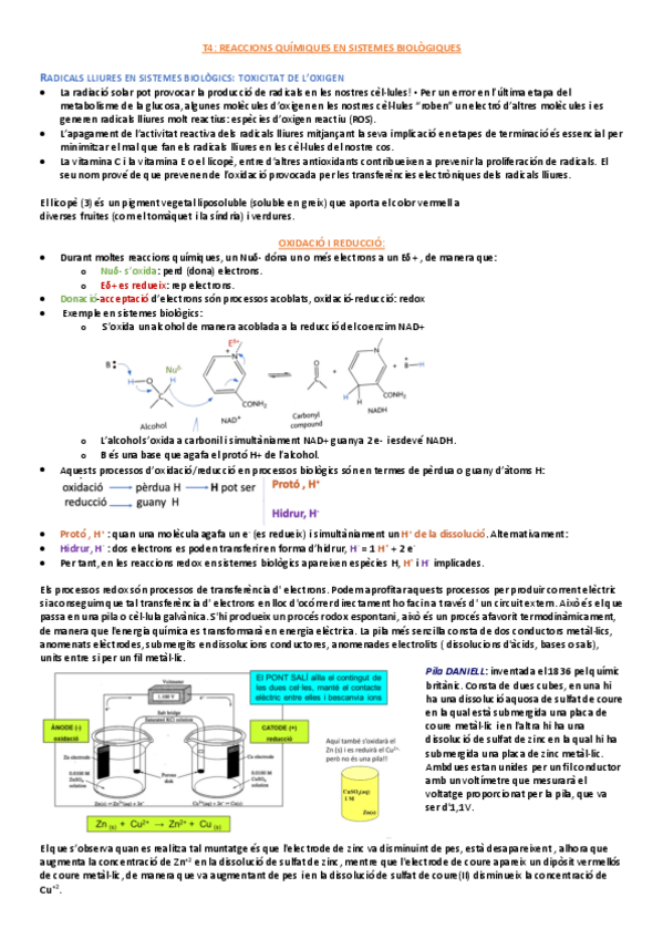 Miniatura del documento Quimica-2n-par-T4678.pdf