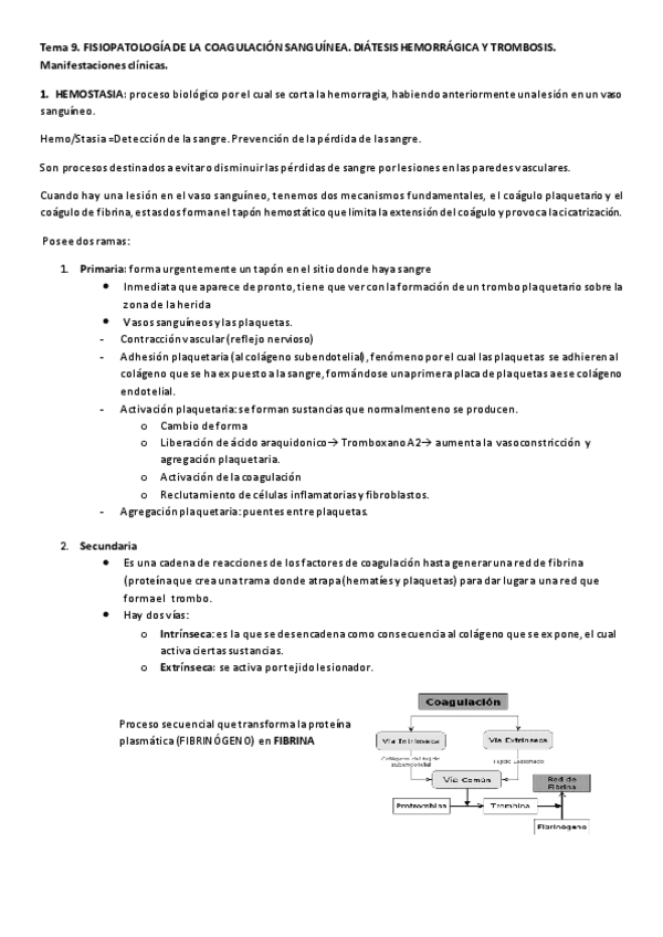 Miniatura del documento TEMA 9.pdf