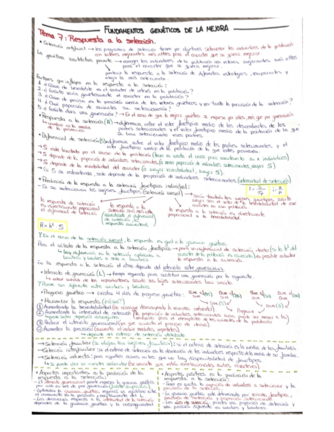 Miniatura del documento TEMA-7.pdf