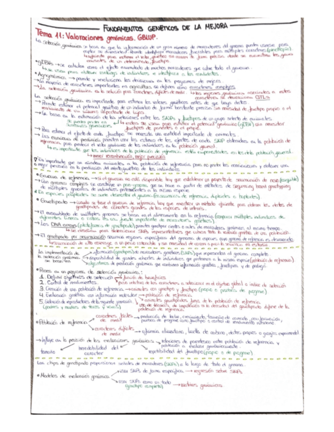 Miniatura del documento TEMA-11.pdf