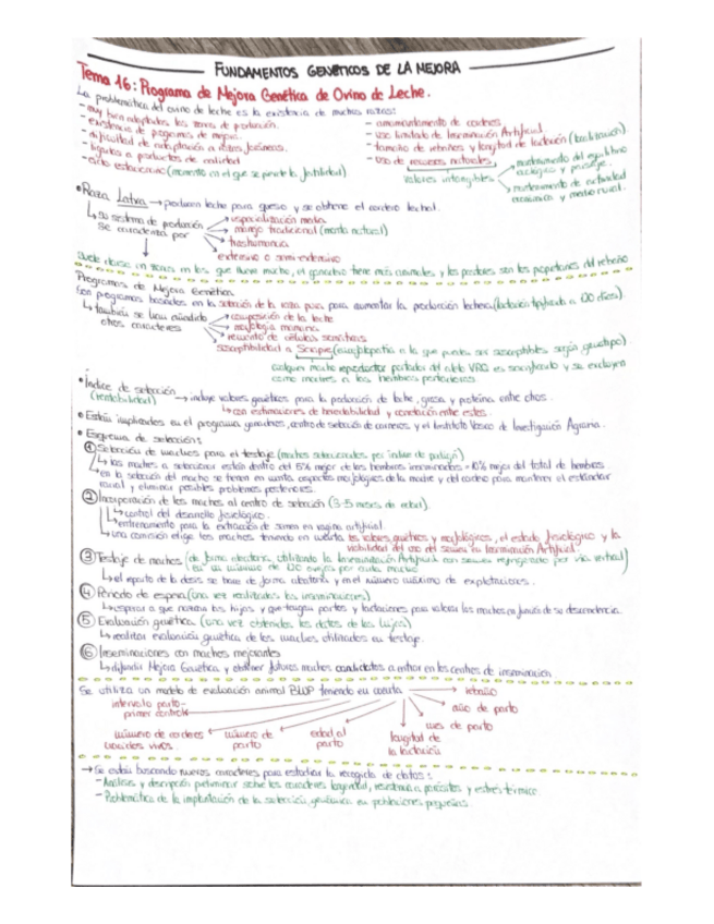 Miniatura del documento TEMA-16.pdf