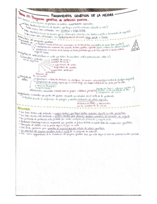 Miniatura del documento TEMA-17.pdf