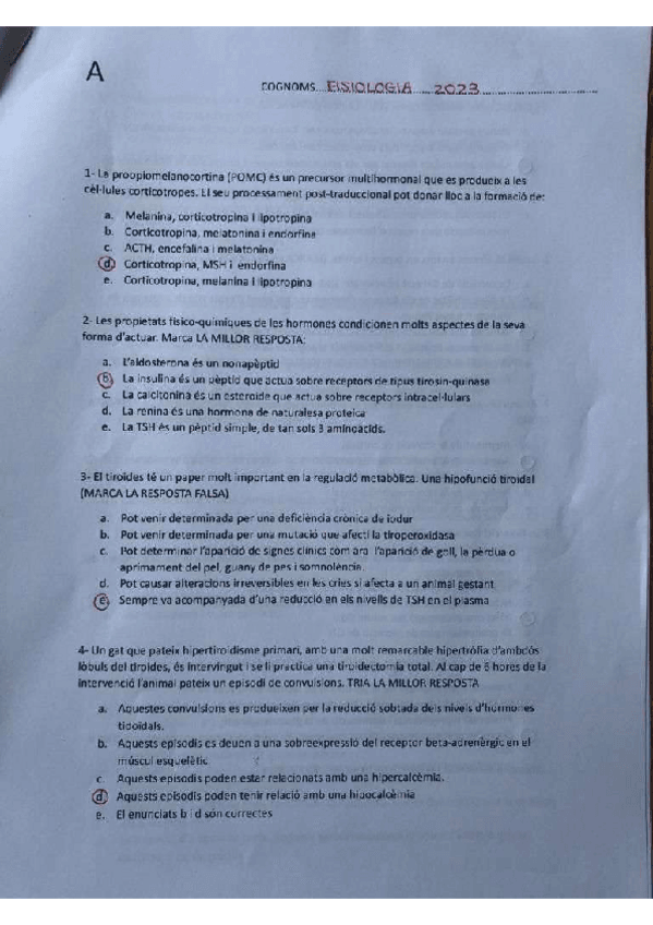 Miniatura del documento Examen-2023.pdf