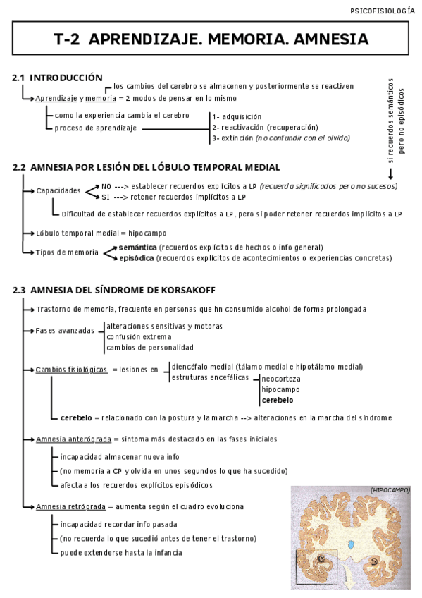 Miniatura del documento T-2-APRENDIZAJE.-MEMORIA.-AMNESIA.pdf