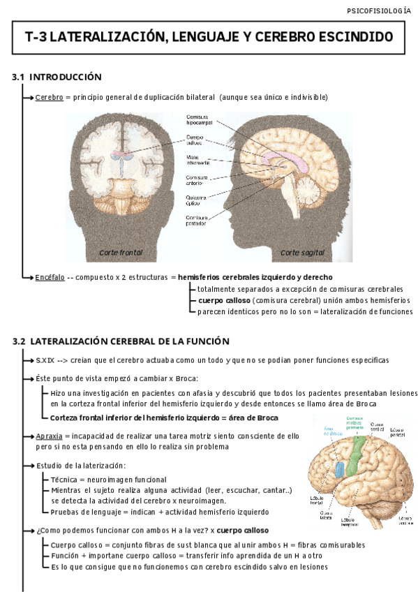 Miniatura del documento T-3-LATERALIZACION-LENGUAJE-Y-CEREBRO-ESCINDIDO.pdf
