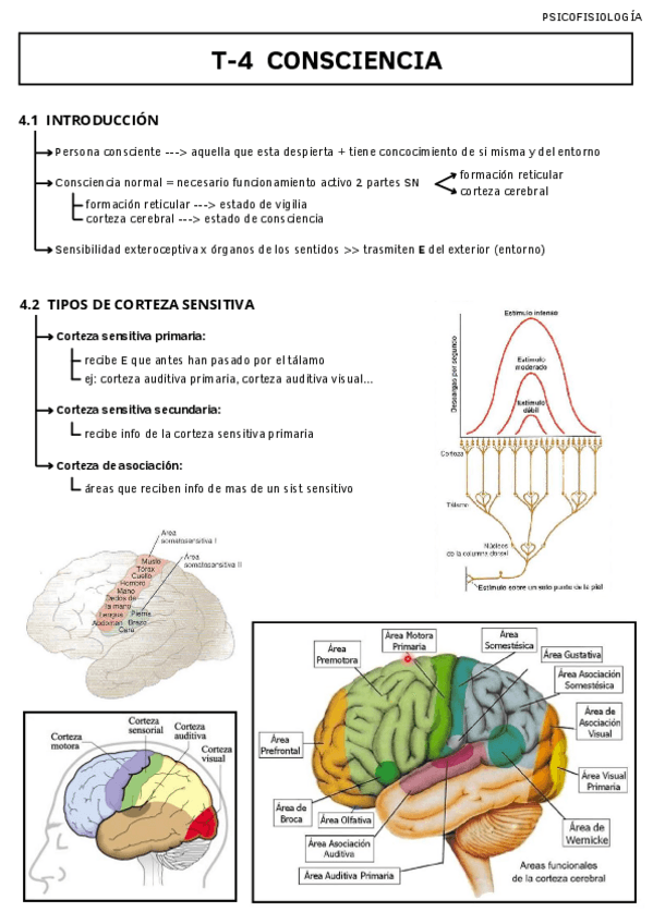 Miniatura del documento T-4-CONSCIENCIA.pdf