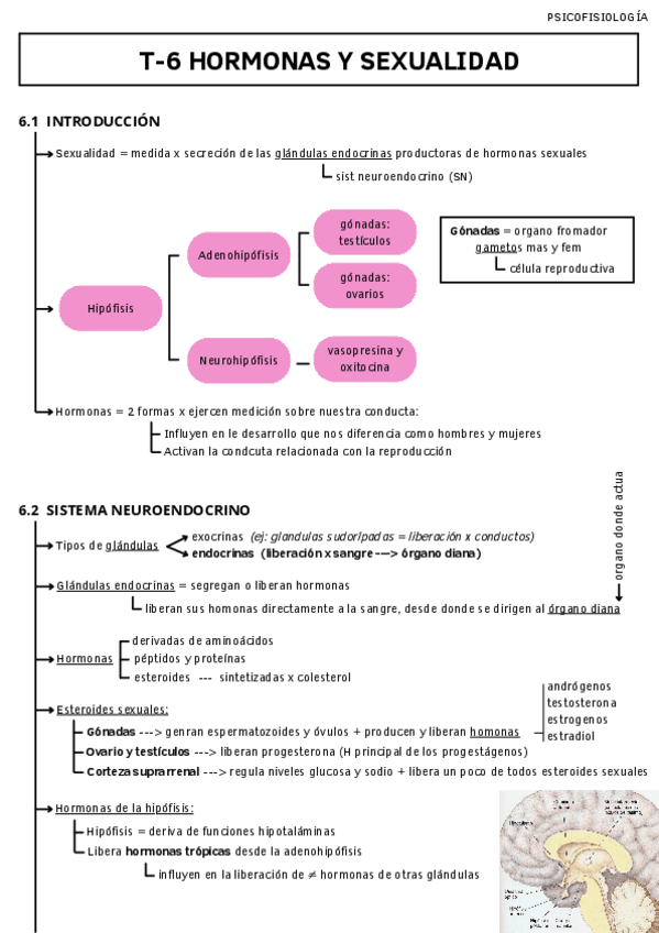 Miniatura del documento T-6-HORMONAS-Y-SEXUALIDAD.pdf