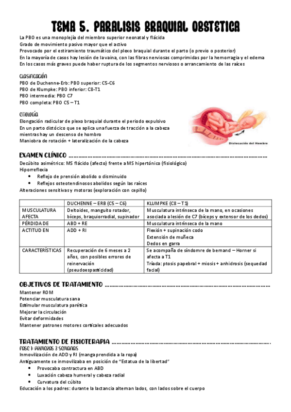 Miniatura del documento TEMA-5.-PARALISIS-BRAQUIAL-OBSTETRICA.pdf