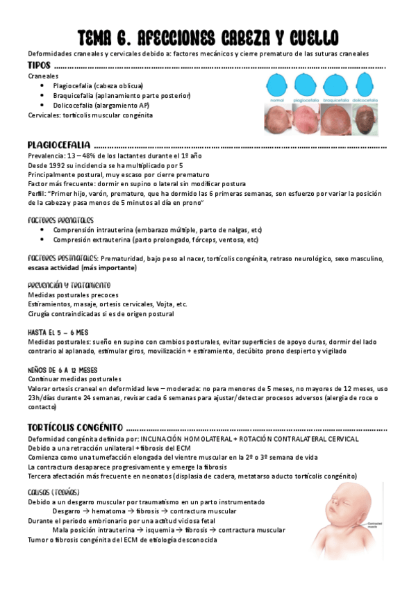 Miniatura del documento TEMA-6.-AFECCIONES-CABEZA-Y-CUELLO.pdf