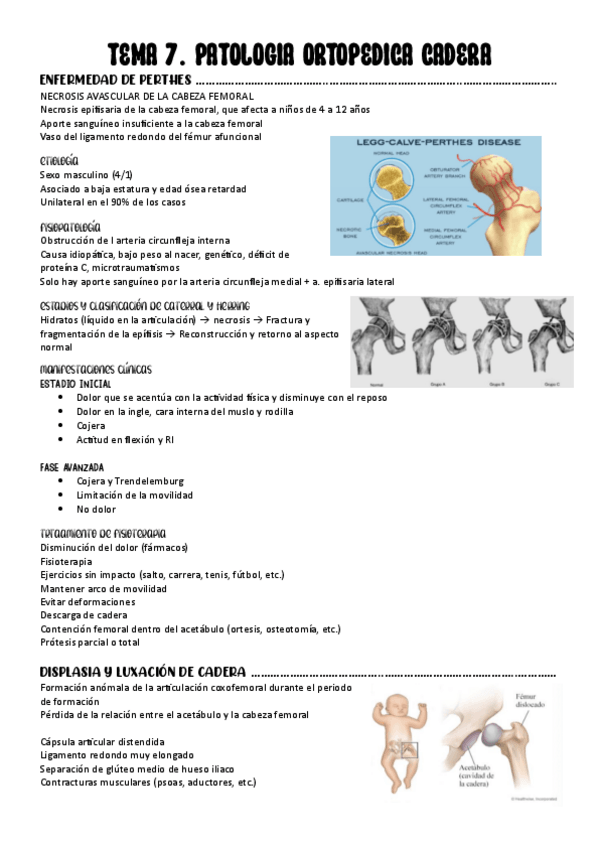 Miniatura del documento TEMA-7.-DISPLASIA-Y-LUXACION-CONGENITA-CADERA GERIATRÍA.pdf